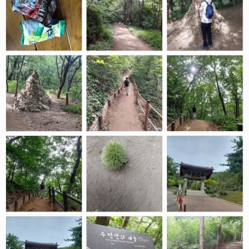 피드 이미지