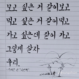 피드에 업로드 된 이미지