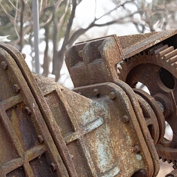 피드에 업로드 된 이미지