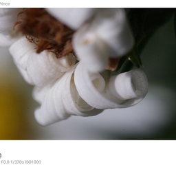 피드에 업로드 된 이미지