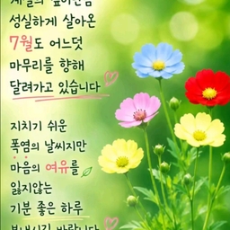 피드에 업로드 된 이미지