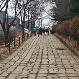 피드에 업로드 된 이미지