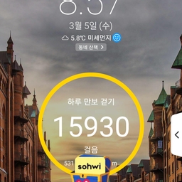 피드에 업로드 된 이미지