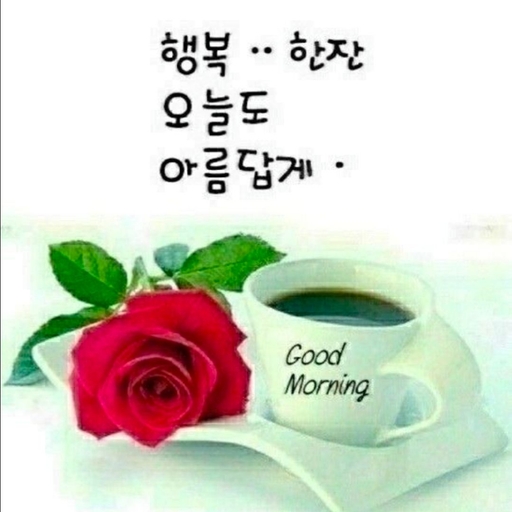 피드 이미지