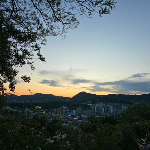 피드 이미지