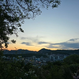 피드에 업로드 된 이미지