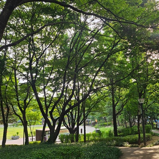 피드 이미지
