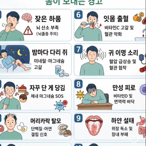 피드 이미지