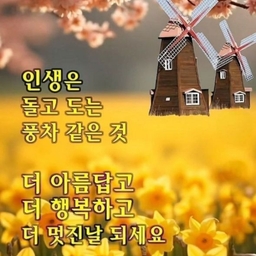 피드에 업로드 된 이미지