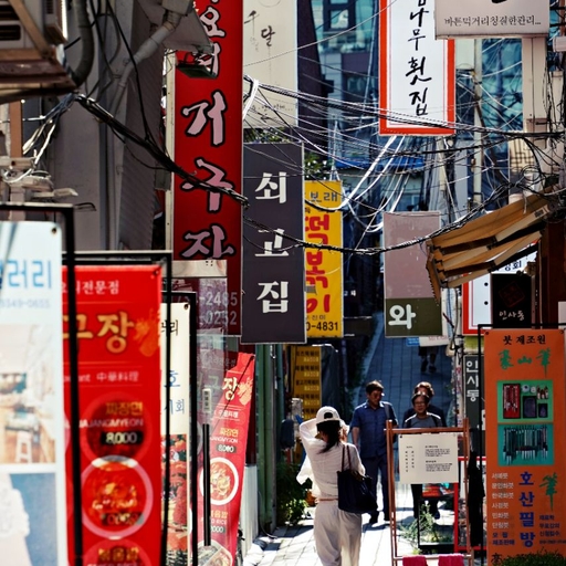 피드 이미지