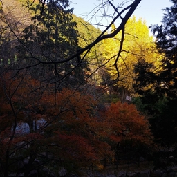 피드에 업로드 된 이미지