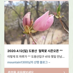 피드에 업로드 된 이미지