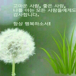 피드에 업로드 된 이미지