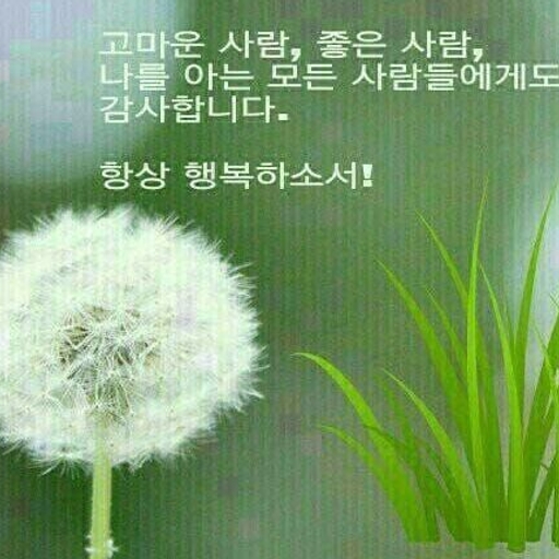 피드 이미지