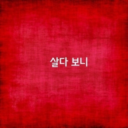 피드에 업로드 된 이미지