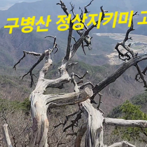 피드 이미지