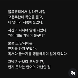 피드에 업로드 된 이미지
