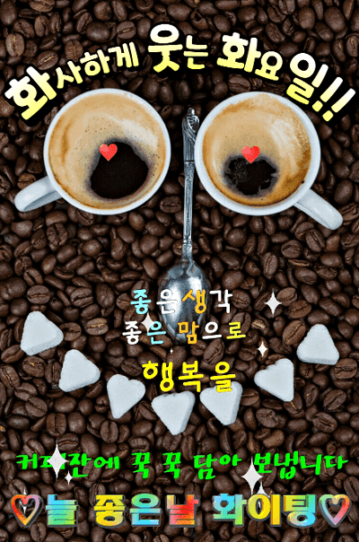 피드에 업로드 된 이미지