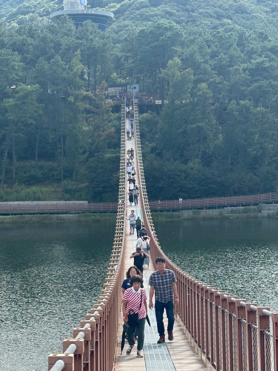피드 이미지