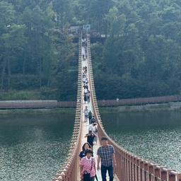 피드에 업로드 된 이미지