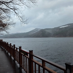 피드에 업로드 된 이미지