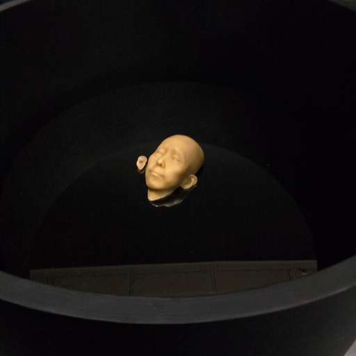 피드 이미지
