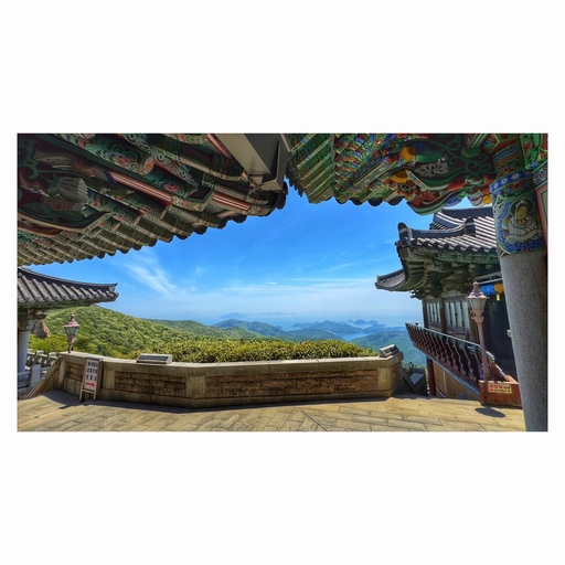피드 이미지