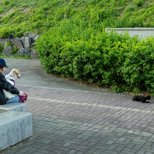 피드 이미지