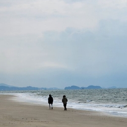 피드에 업로드 된 이미지