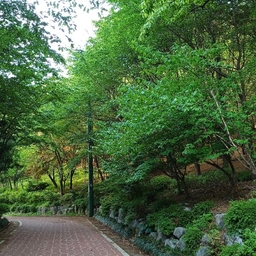 피드에 업로드 된 이미지