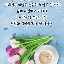 피드에 업로드 된 이미지