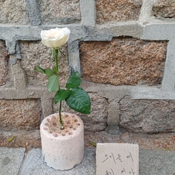 피드에 업로드 된 이미지