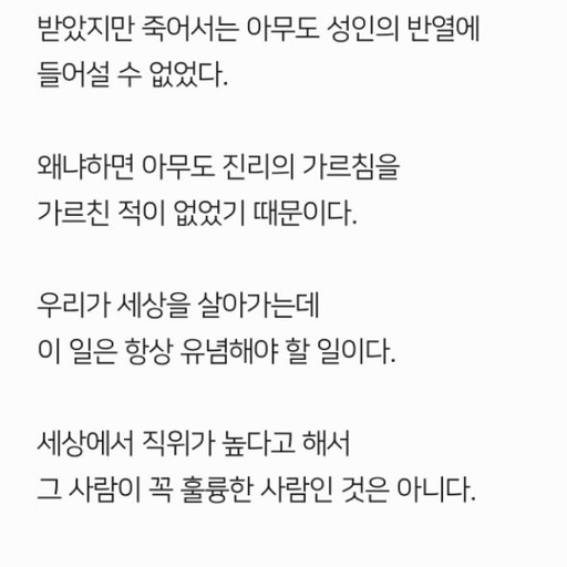 피드 이미지
