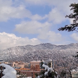 피드에 업로드 된 이미지