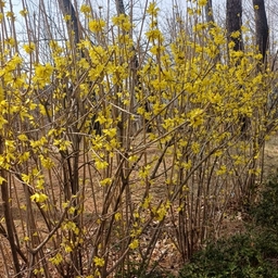 ํผ๋์ ์
๋ก๋ ๋ ์ด๋ฏธ์ง