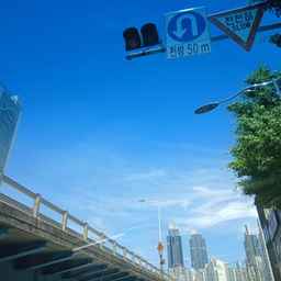 피드에 업로드 된 이미지