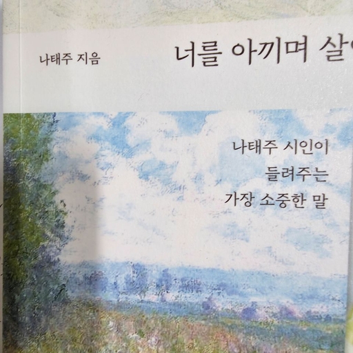피드 이미지