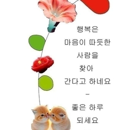피드에 업로드 된 이미지