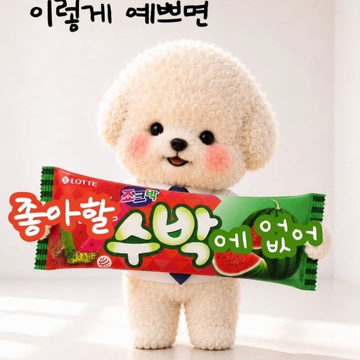피드 이미지
