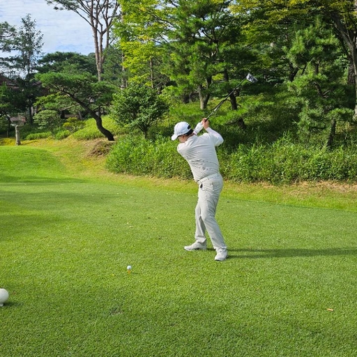 피드 이미지