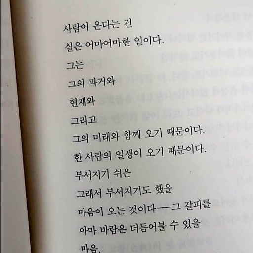 피드 이미지