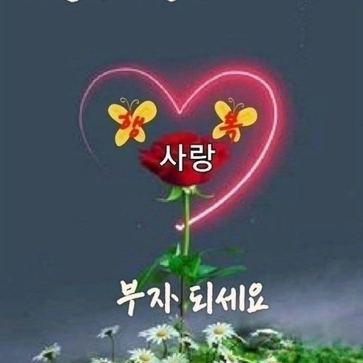 피드 이미지