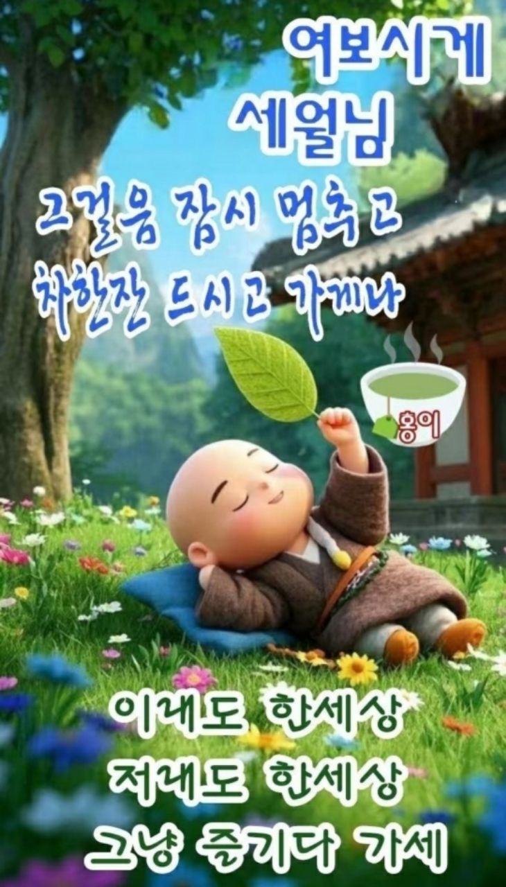 피드 이미지