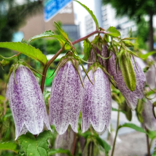 피드 이미지
