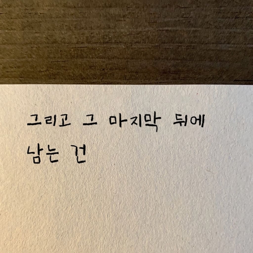 피드 이미지
