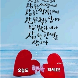 피드에 업로드 된 이미지