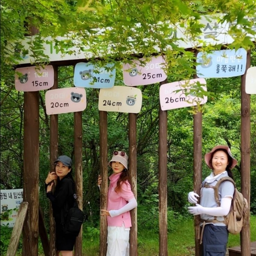 피드 이미지
