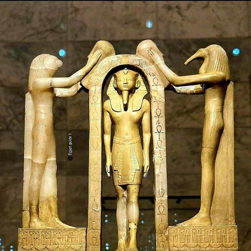 피드 이미지