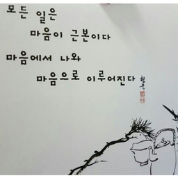 피드에 업로드 된 이미지