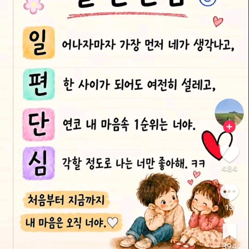 피드 이미지